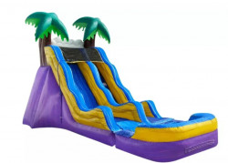 17ft Tropical Slide